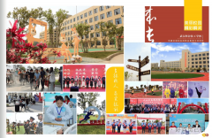 <strong>可考取AHK职业资历证书</strong>